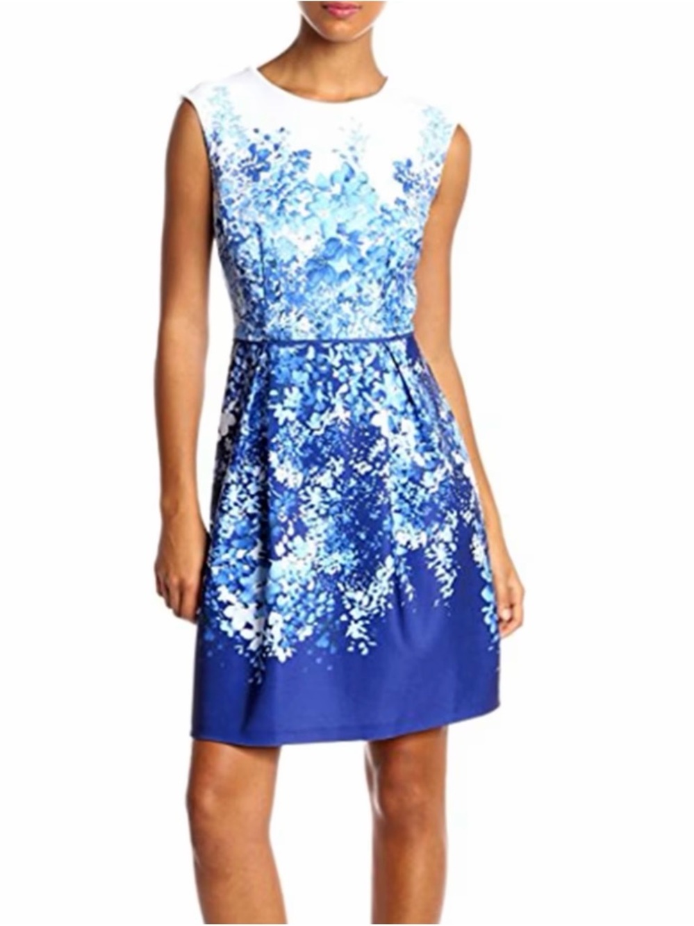 Sandra Darren Fit-and-Flare Dress
